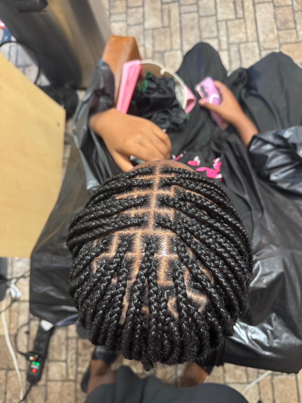 Two-strand twist individuals at Braids by estal